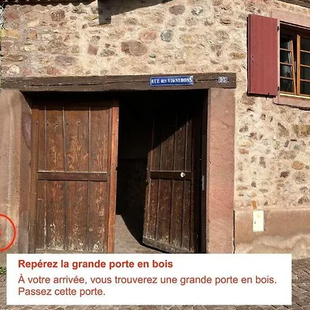 Cocon Des Vignerons - - Route Des Vins 아파트 투르크하임