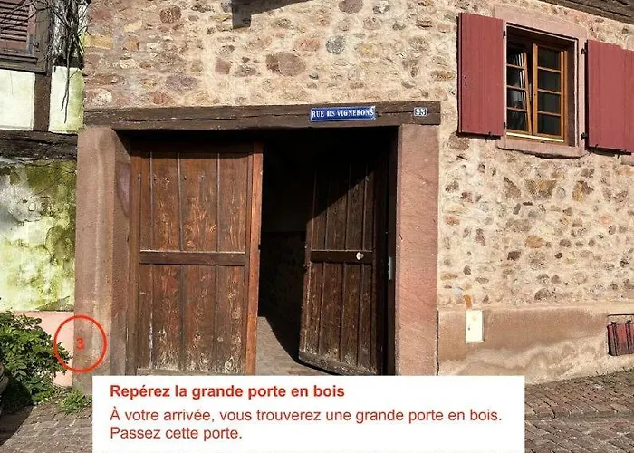Cocon Des Vignerons - - Route Des Vins 아파트 투르크하임